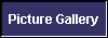  Picture Gallery 